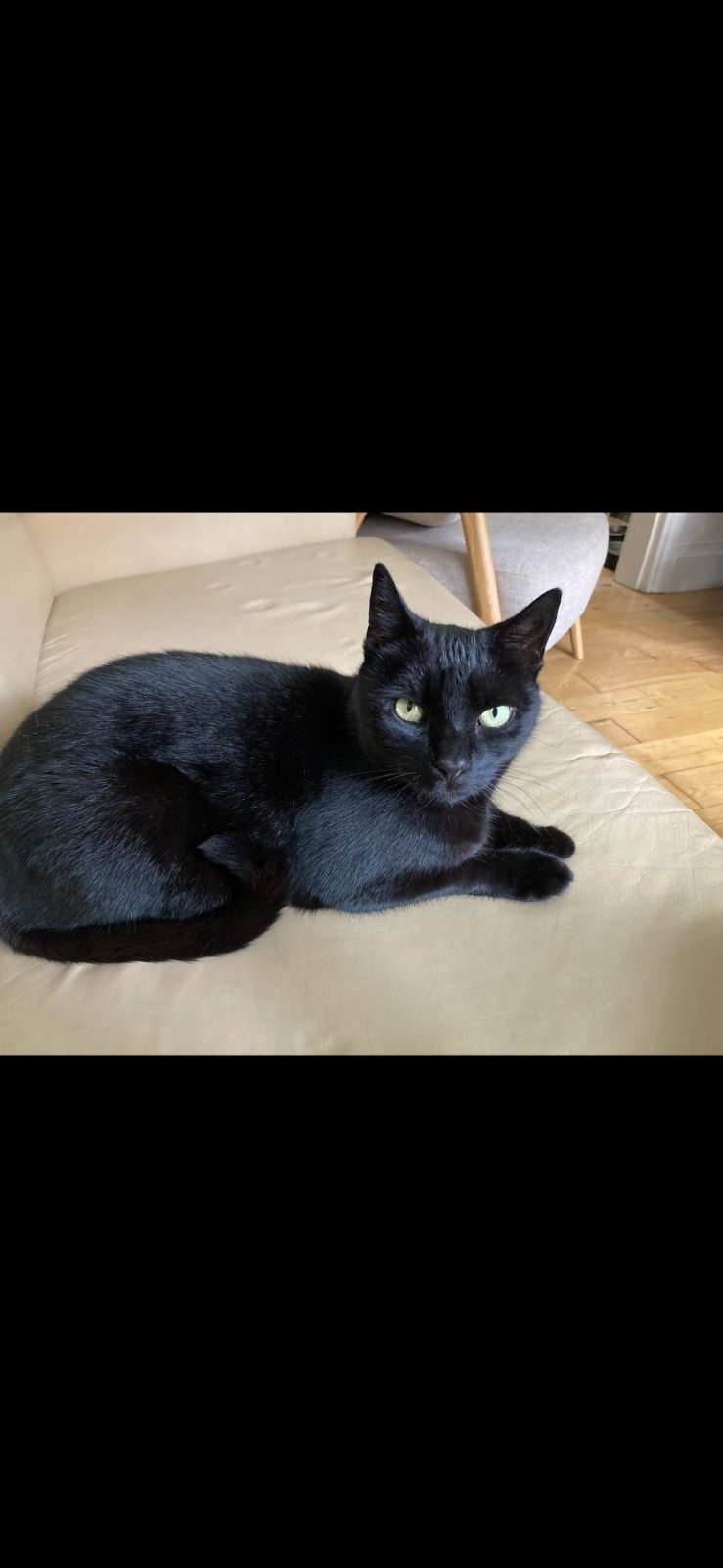 Photo of Mulder