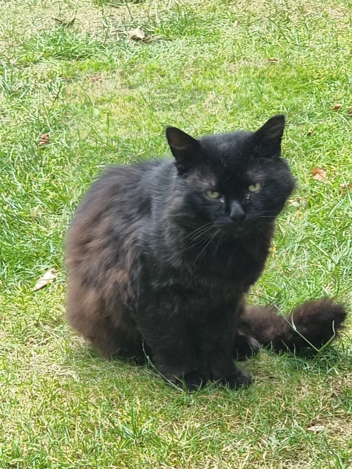 Photo of Sooty
