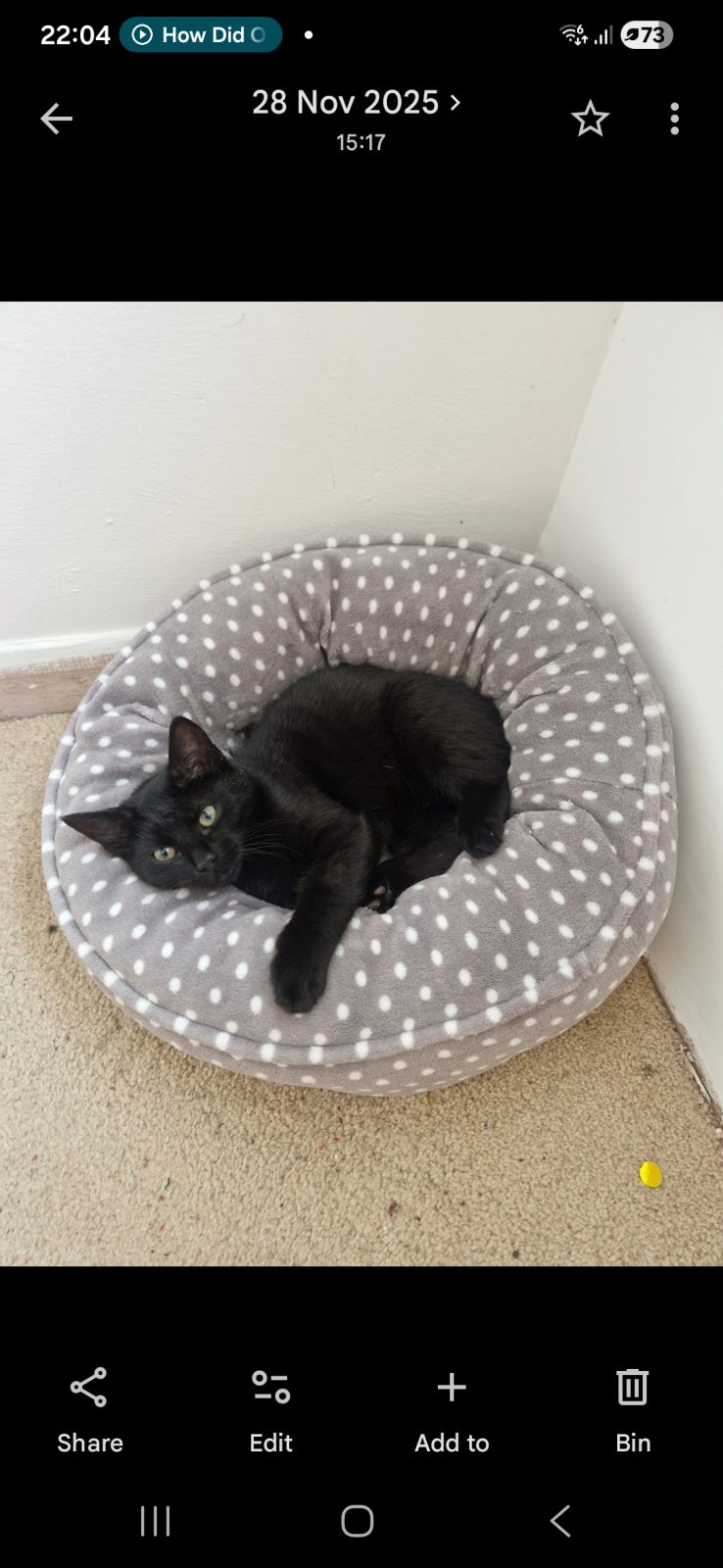 Photo of Zuko