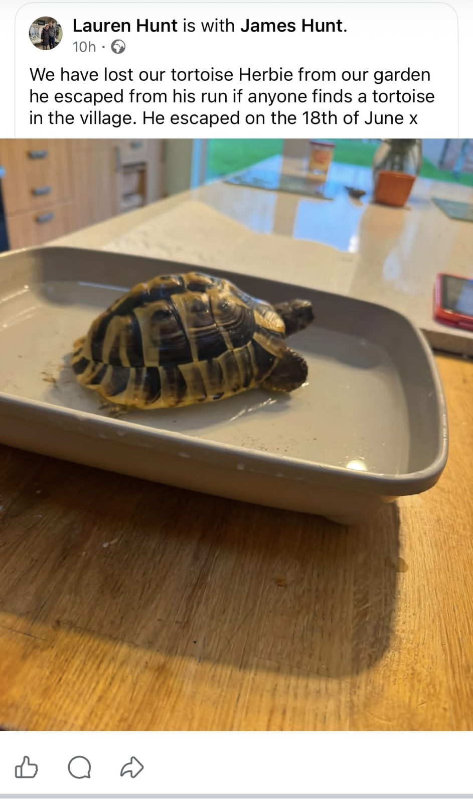 Photo of Herbie