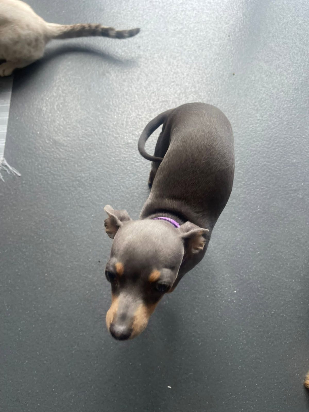 Photo of Silver
