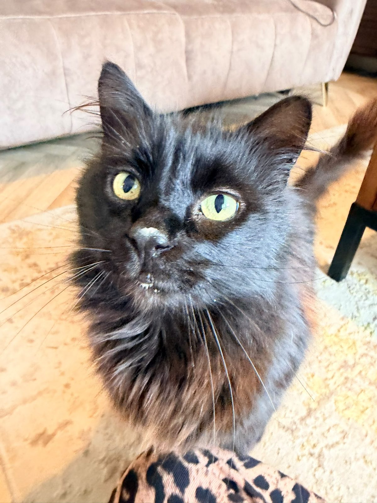 Photo of Sophie