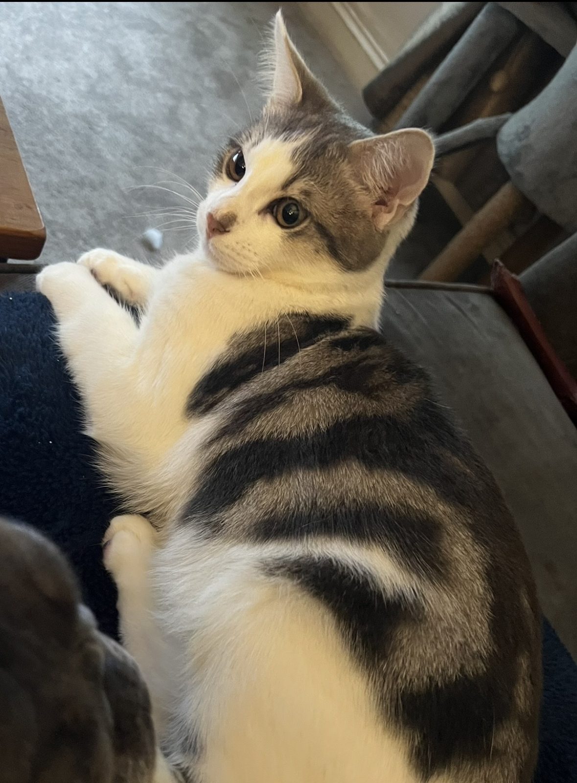 Photo of Jasper