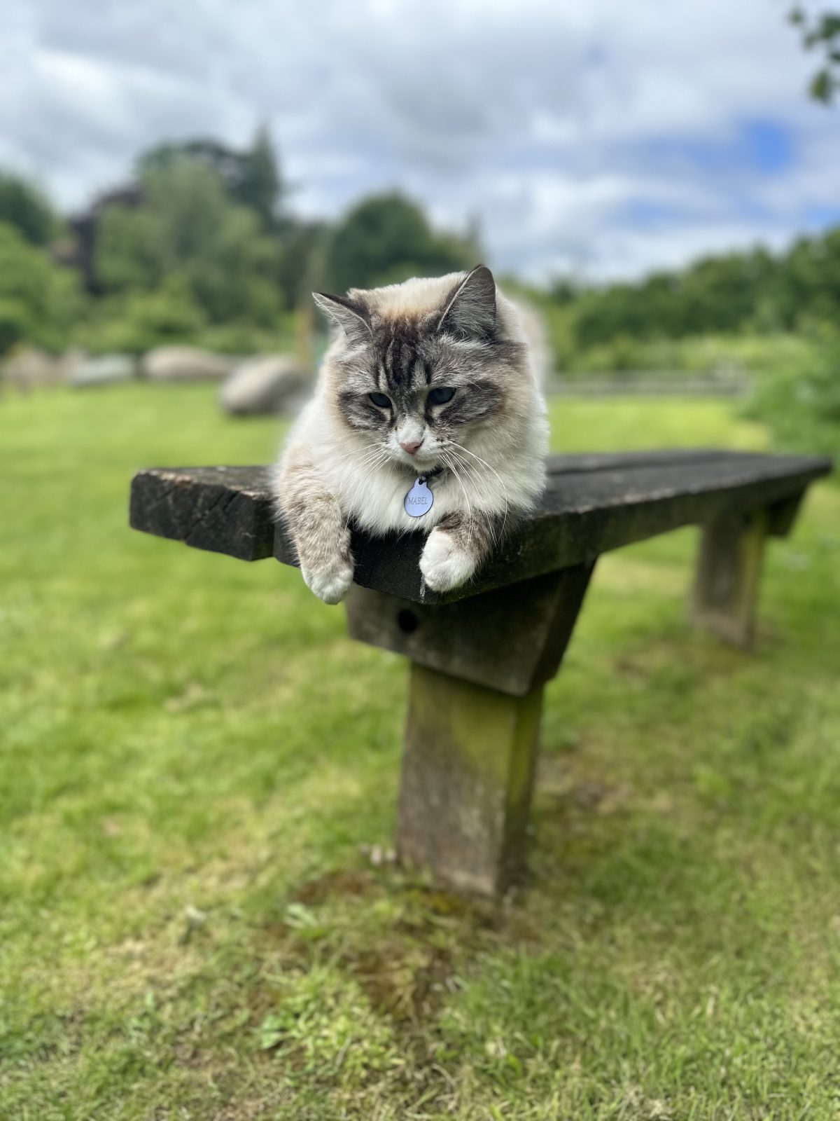 Photo of Mabel