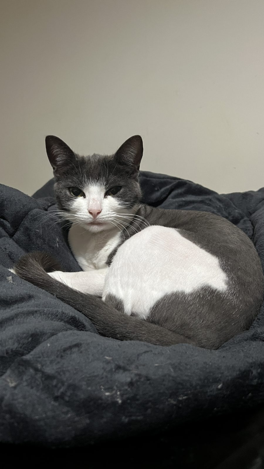 Photo of Mia