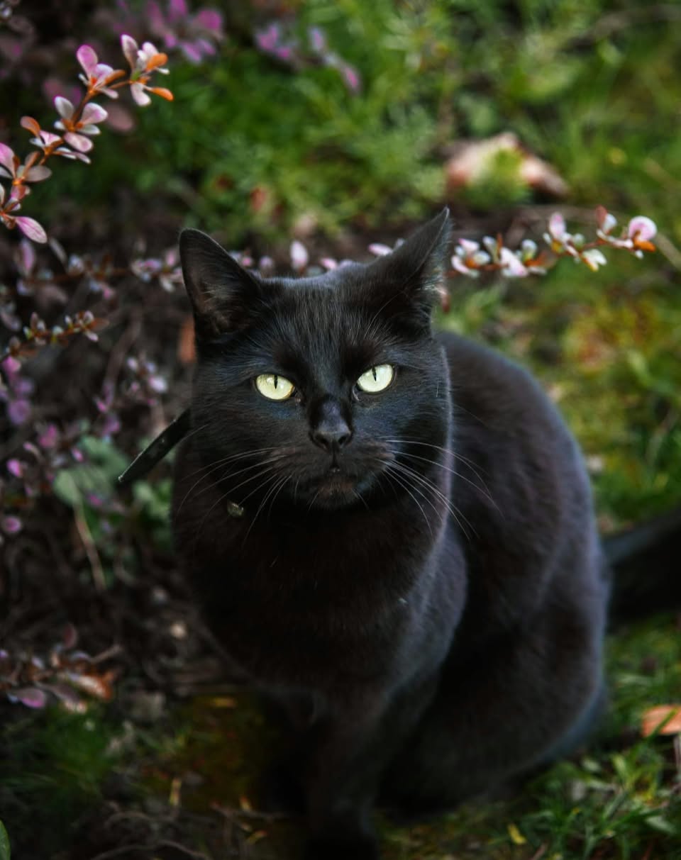 Photo of Lilly