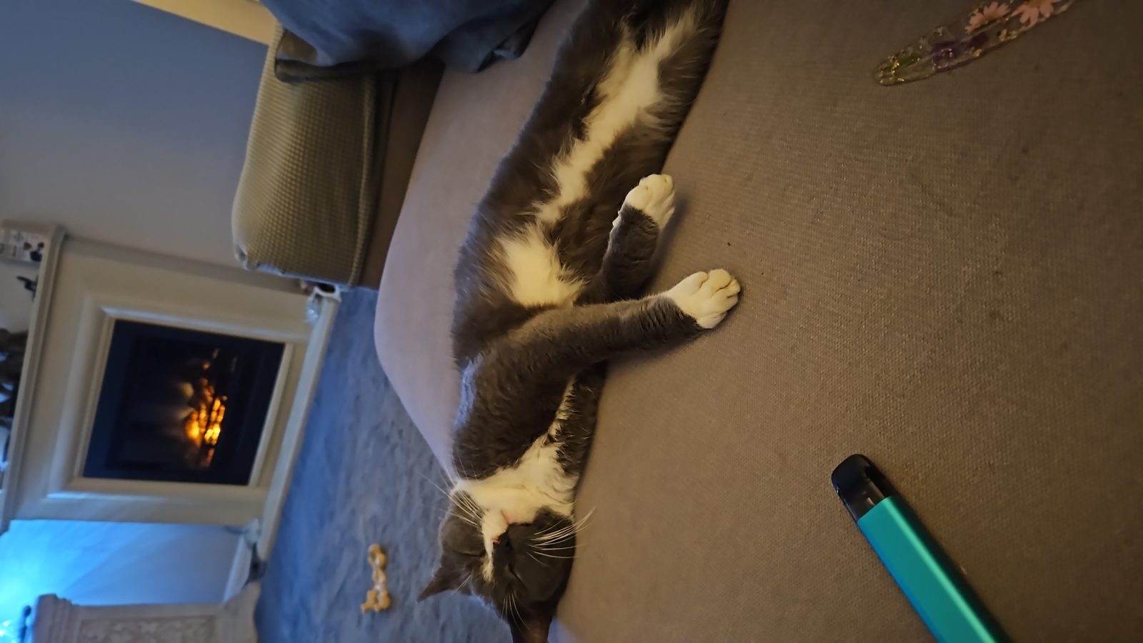 Photo of Alfie