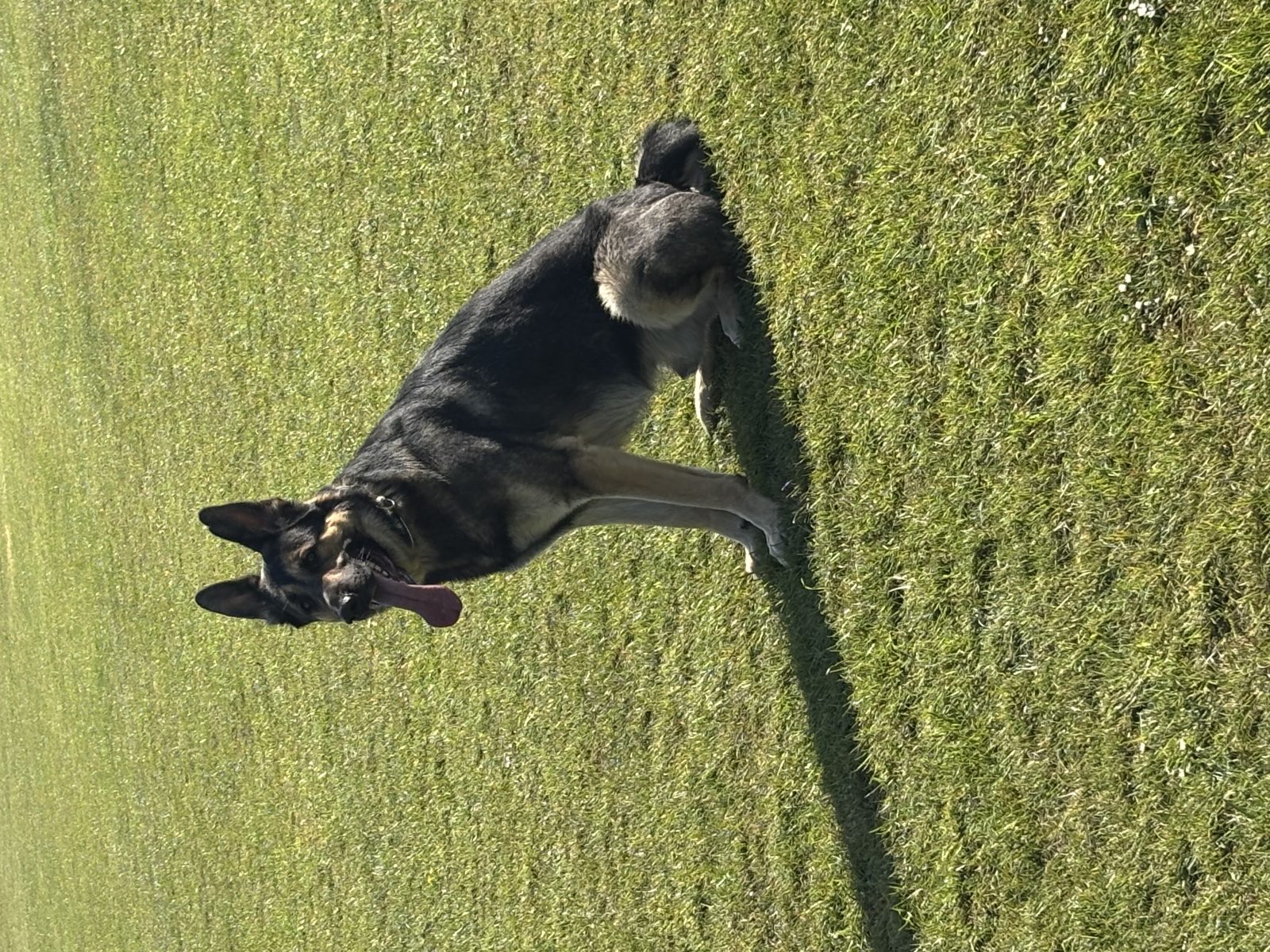 Photo of Zeus