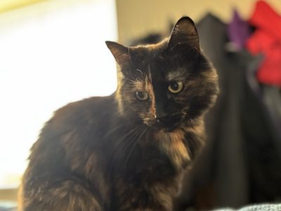 Bella