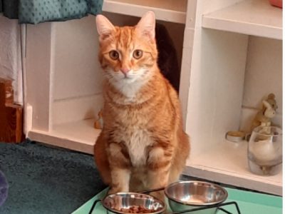 Photo of Phoenix