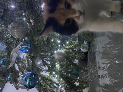 Photo of Lilah