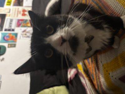 Tux