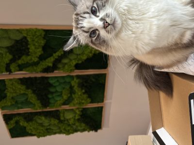 Pixel