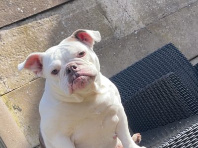 Photo of Winnie