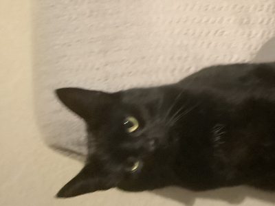 Photo of Tyrone