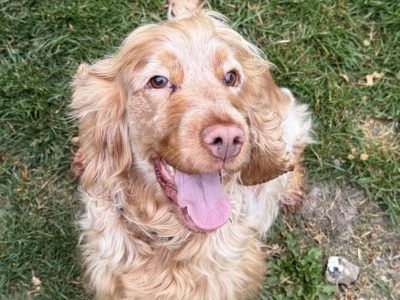 Photo of Bonnie