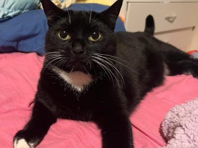Photo of Luna