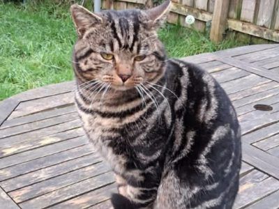 Photo of Max