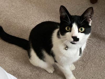 Photo of Boots