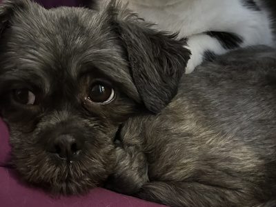 Coco