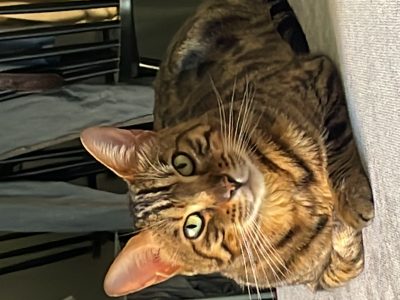 Milo