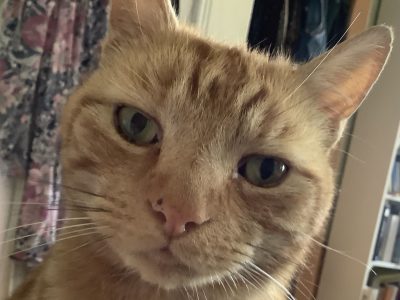 Photo of Ted