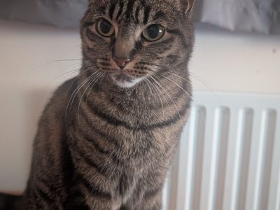 Photo of Wilma
