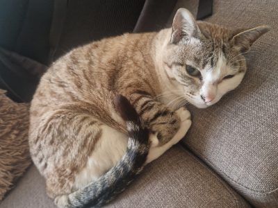 Photo of Ling