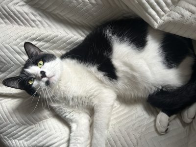 Photo of Rauw