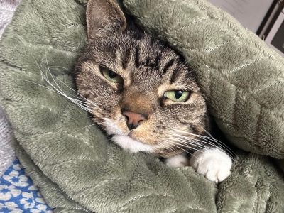 Photo of Missy
