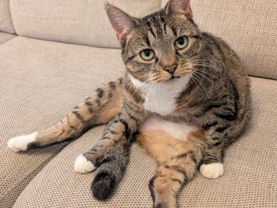 Maggie