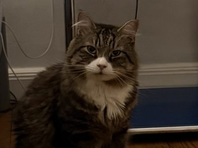 Marley