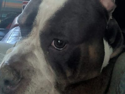 Photo of Narla