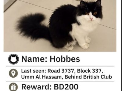 Hobbes Sylvester
