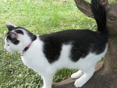 Photo of Mabel