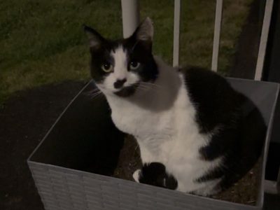 Photo of Nora