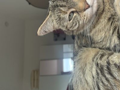Photo of Peggy
