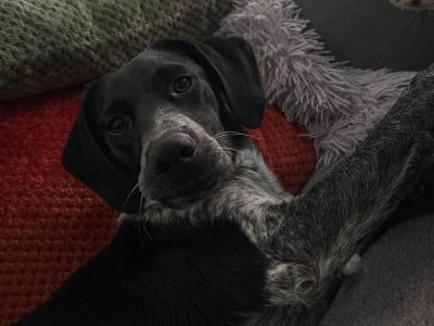 Photo of Holly