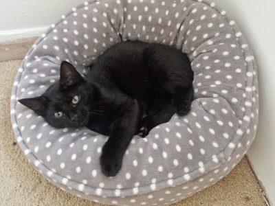 Zuko