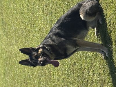 Photo of Zeus